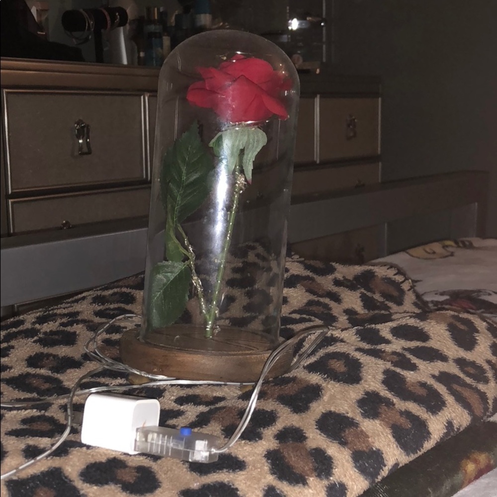 beauty and the beast rose